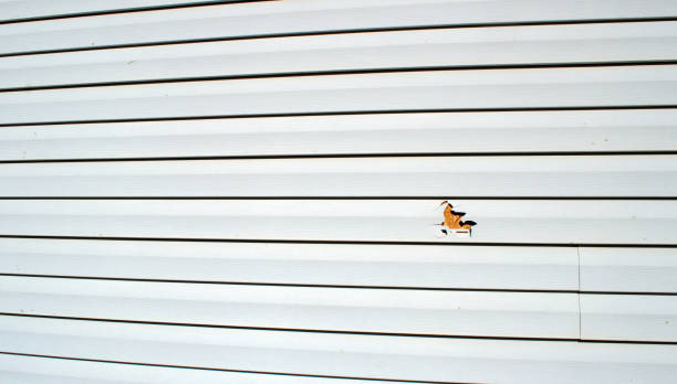 Affordable siding repair and maintenance services in Navy Yard City, WA